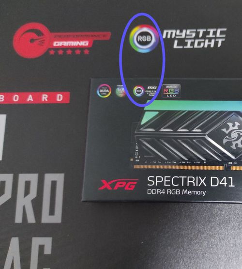6531001.jpg