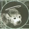 Avatar kenpachii