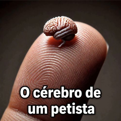 Imagem do comentário