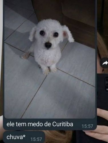 Imagem do comentário