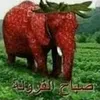 Avatar pdrcrz35655
