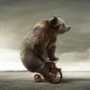 Avatar booboobear