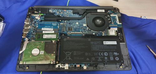 5929100.jpg