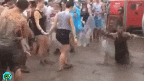 4850434.jpg