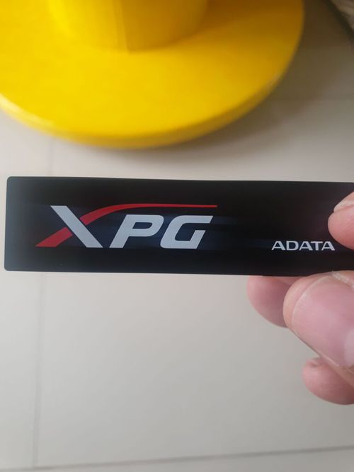 4452799.jpg