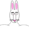 Avatar enigmatizando_toddyn