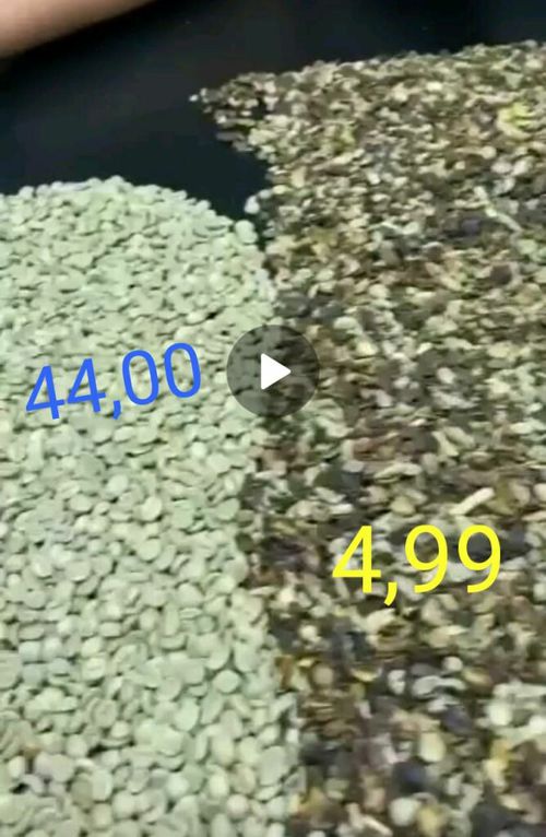 6440492.jpg