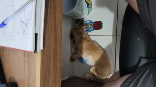 Imagem do comentário