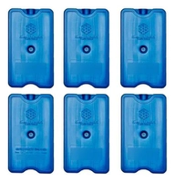 Gelo Rígido Reutilizável 200ml Kit c/ 6 Unidades