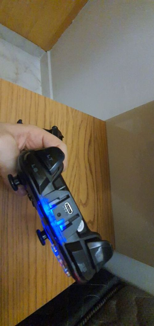 6915961.jpg