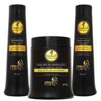 Kit Cavalo Forte Shampoo Condicionador e Máscara 500ml - Haskell | R$134