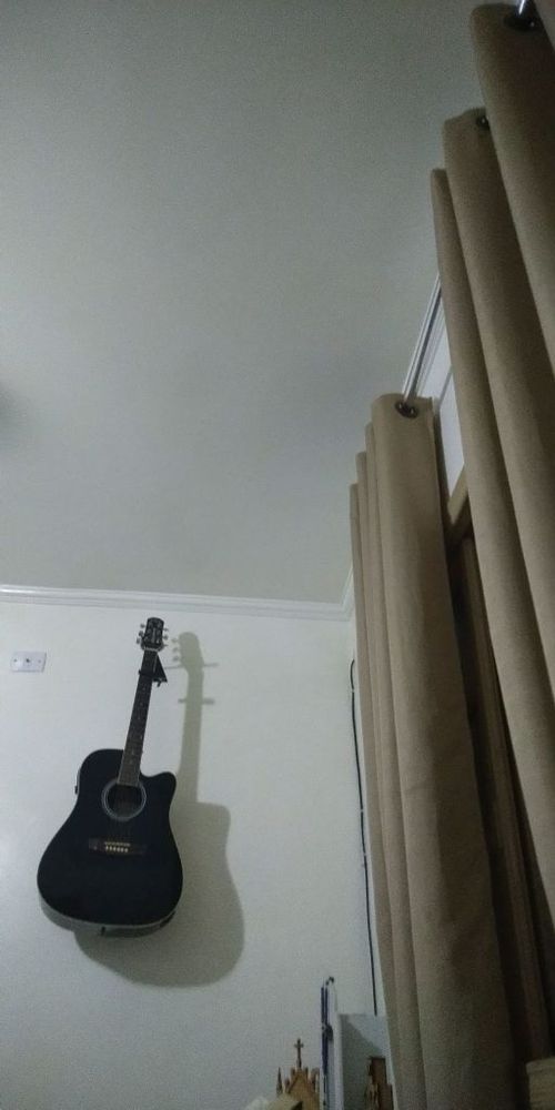 3646903.jpg